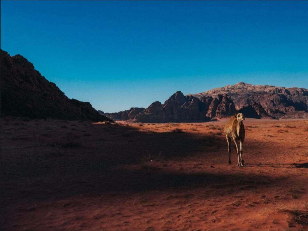 Wadi Rum Moon Camp Exterior photo