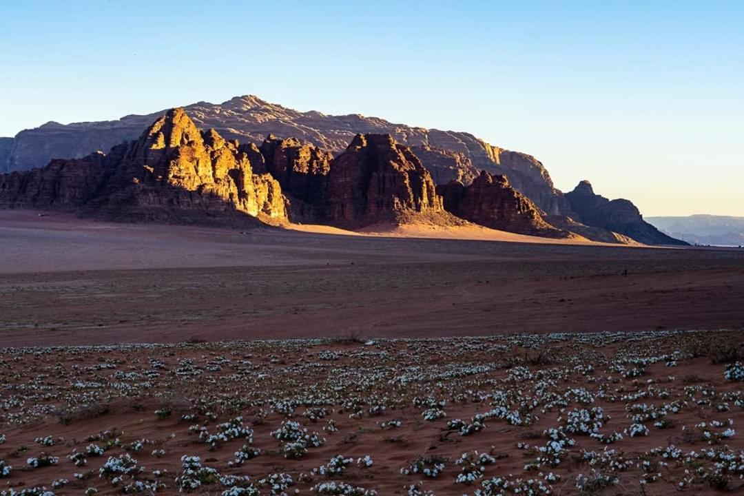 Wadi Rum Moon Camp Exterior photo
